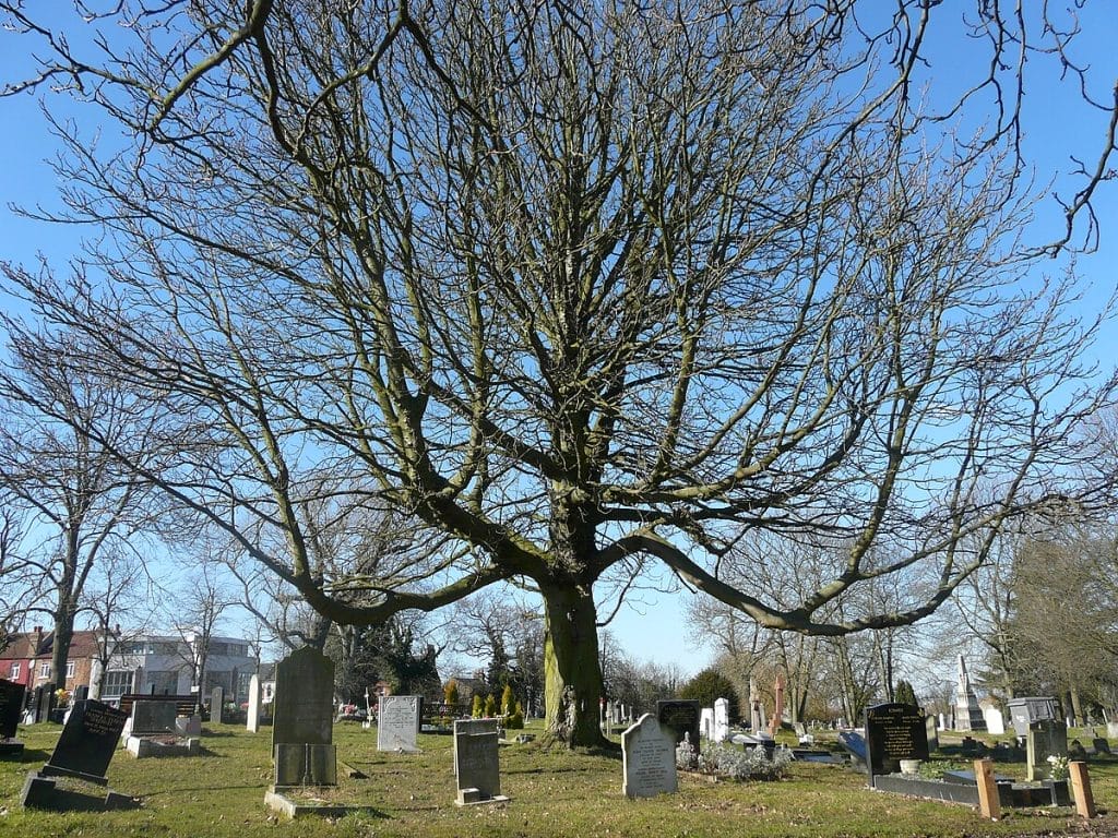 Camberwell Old Cemetery