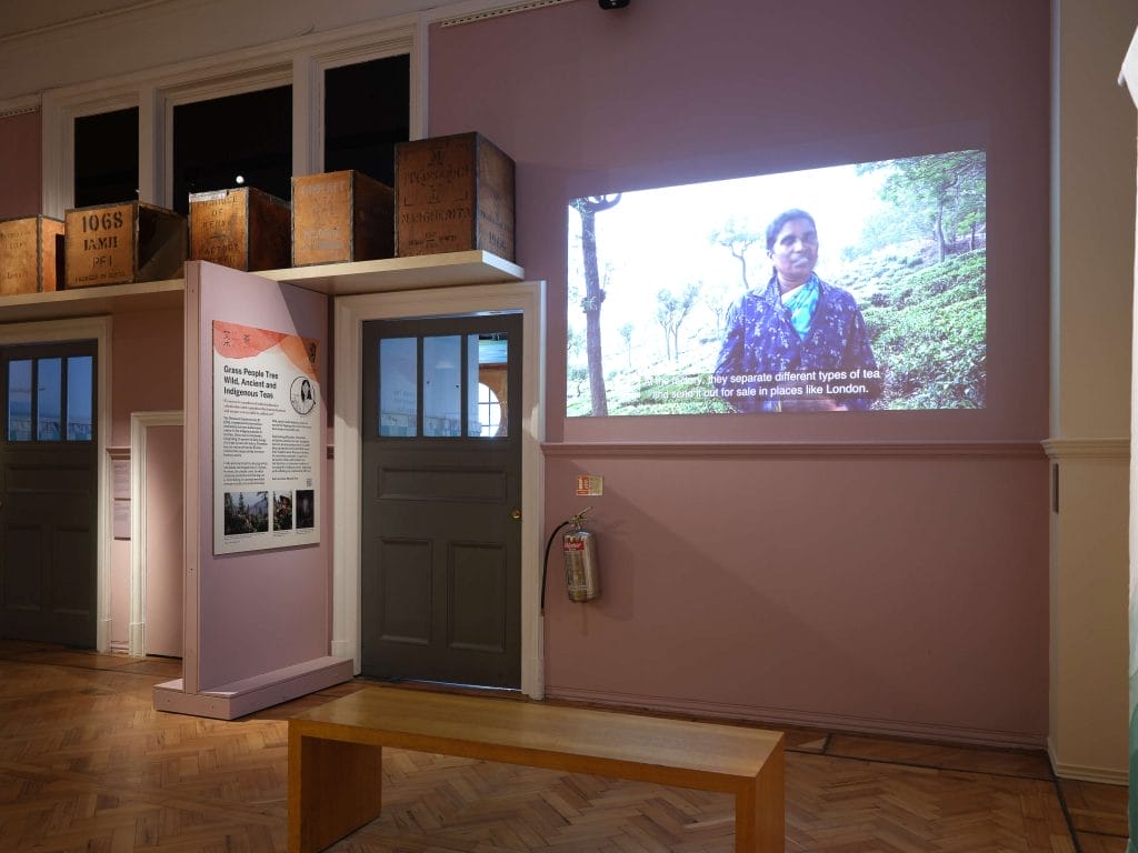 Interior of an exhibition with a film projected on the wall and crates on a shelf above