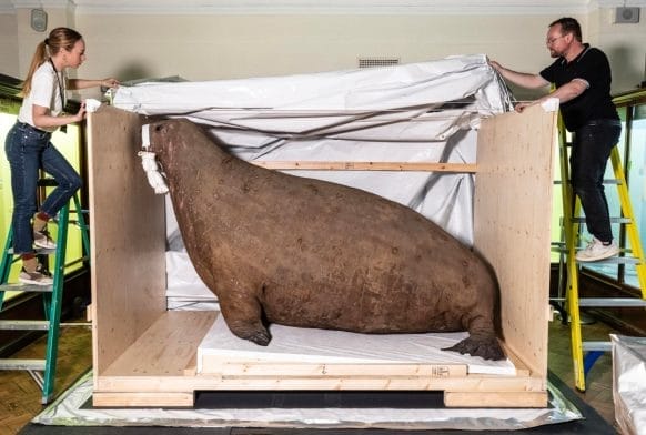 Behind the scenes on our development work