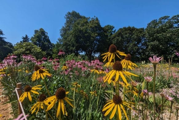 How will you remember a charity?