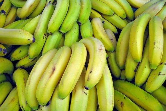 How our most loved food came to the UK