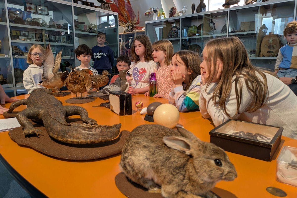 Group of children leaning on a table covered in taxidermy animals