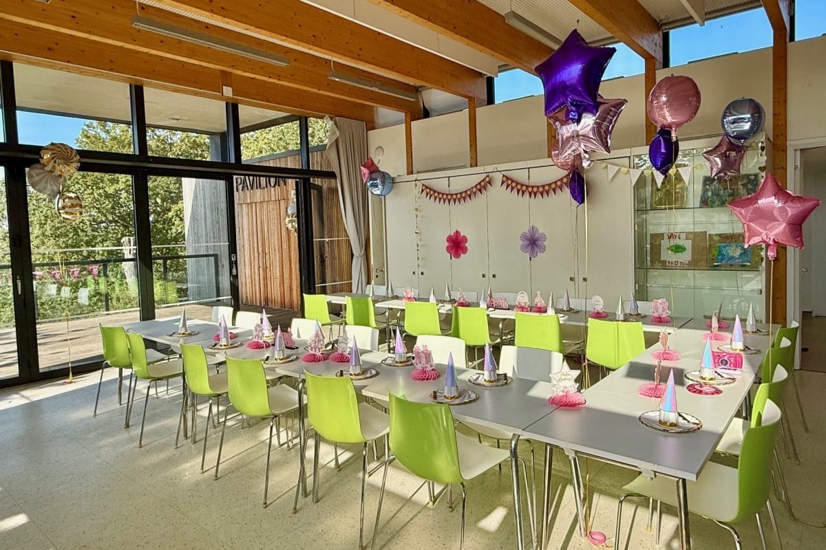 Tangled Rapunzel themed party at the Horniman.