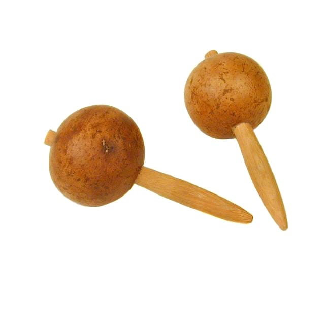 Pair of maracas