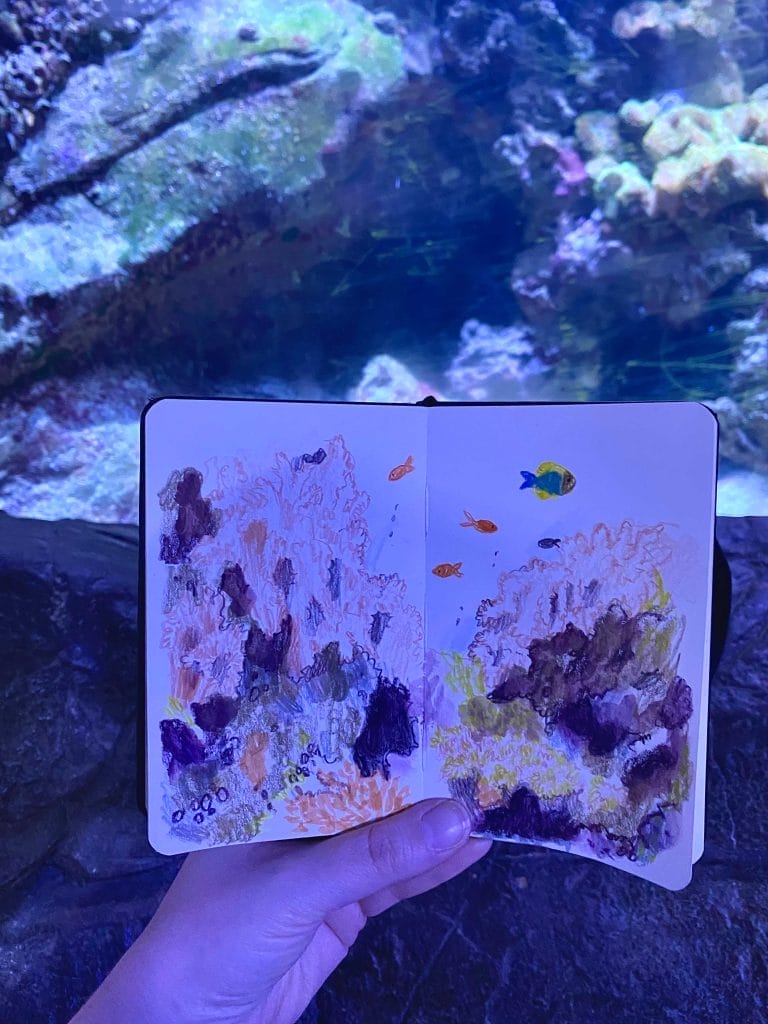 Open page of a sketch book held up in front of a tank in the Horniman Aquarium