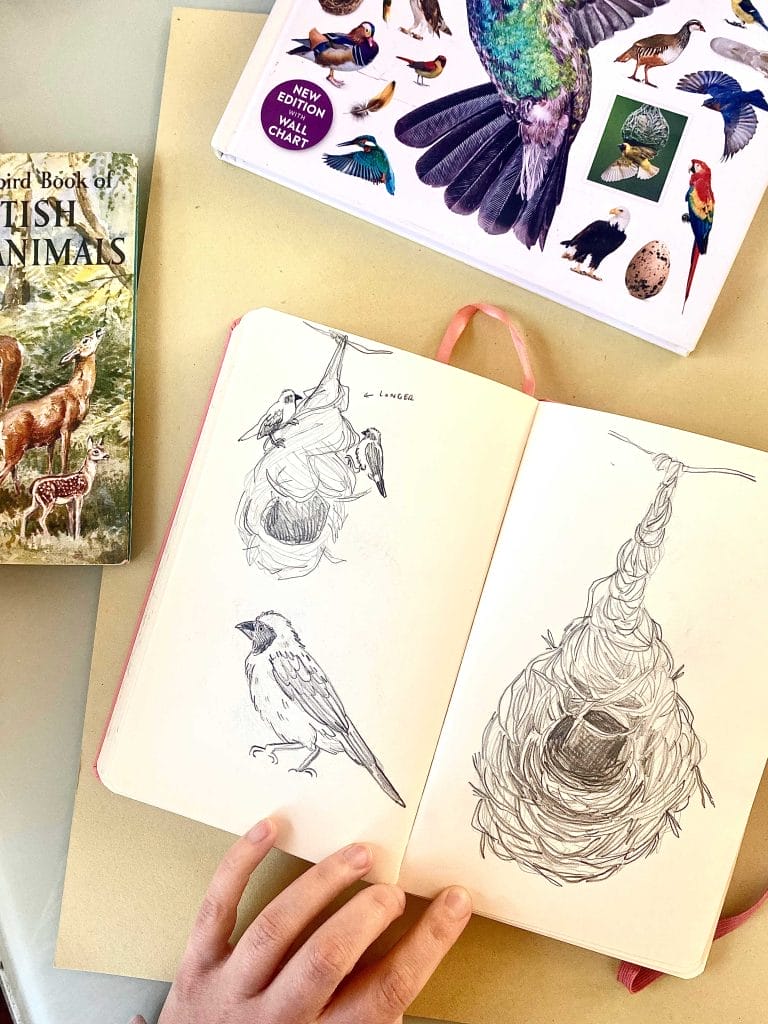 Sketchbook containing sketches of birds 