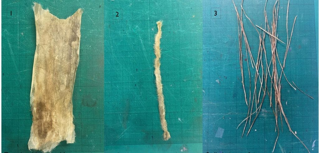 Stages of creating simulation twigs with tissue paper