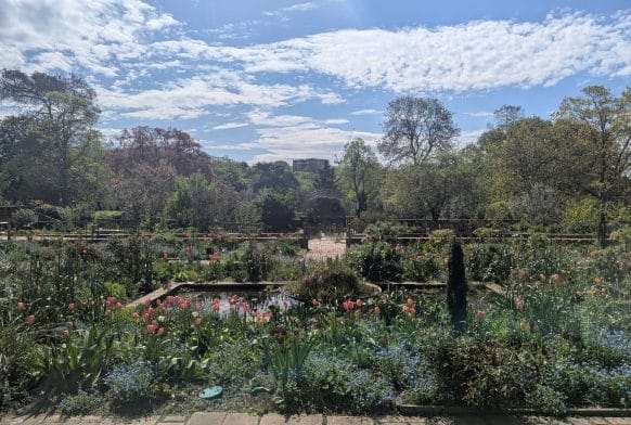 Transforming the Sunken Garden for wildlife and people