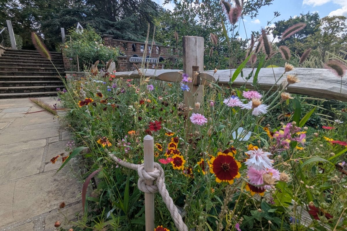 Wildflower bedding surrounding Sunken Garden