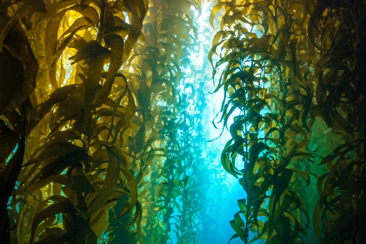 Photo courtesy of Erick Morales Oyola via Unsplash.