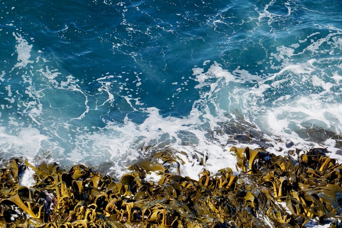 Photo courtesy of Karen Chew via Unsplash.