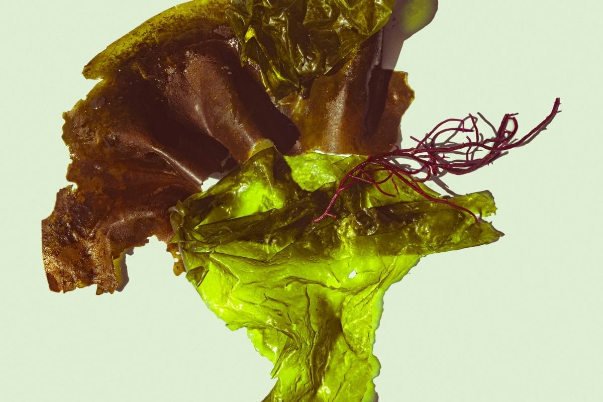 Photo courtesy of Kier in Sight via Unsplash.