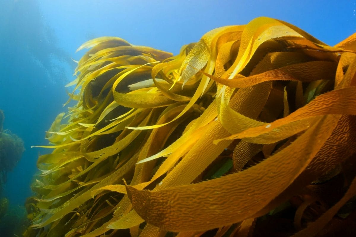 Photo courtesy of Oleksandr Sushko via Unsplash.