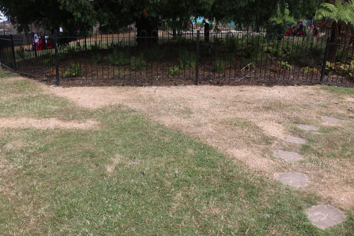 An outline of building foundations in the grass