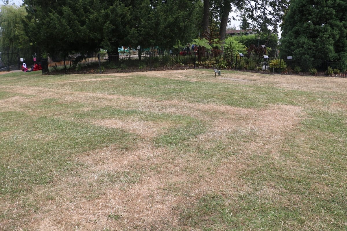 An outline of building foundations in the grass