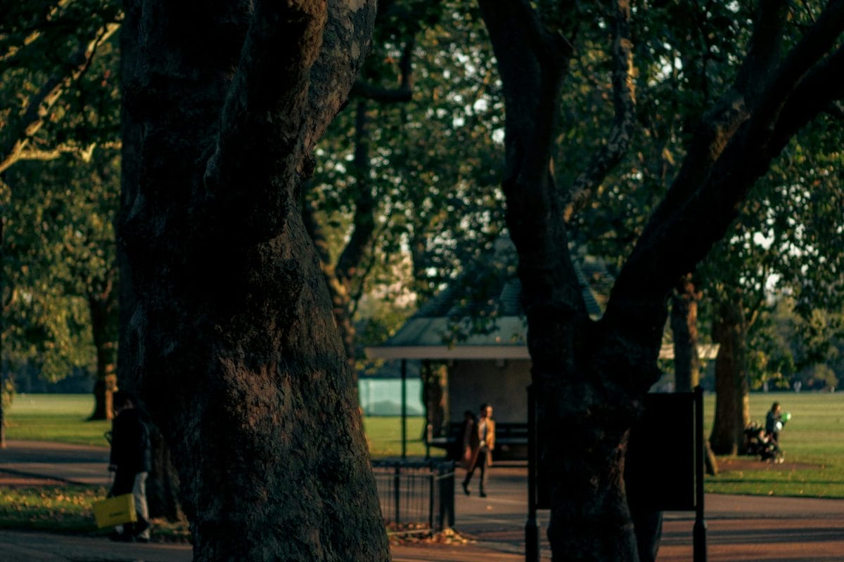 Hyde Park. Photo courtesy of Panos Tsilivis via Unsplash.