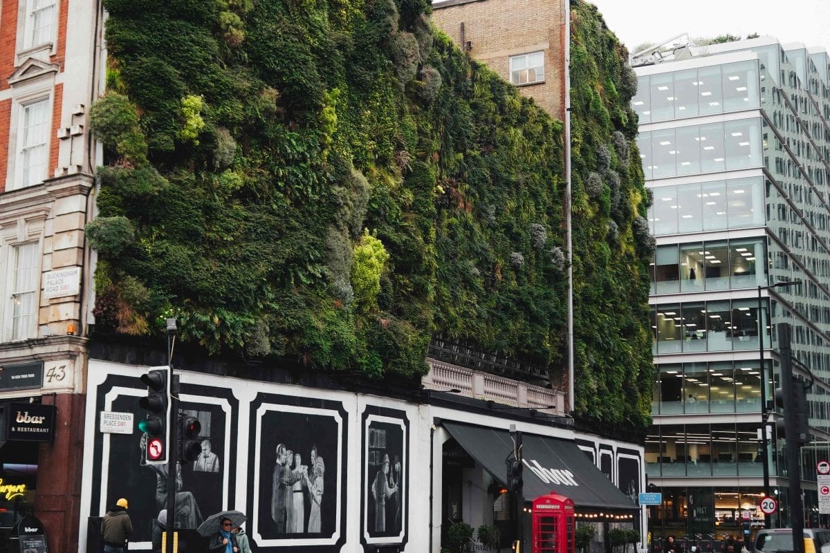 Buckingham Place. Photo courtesy of Phoebe Lynch via Unsplash.