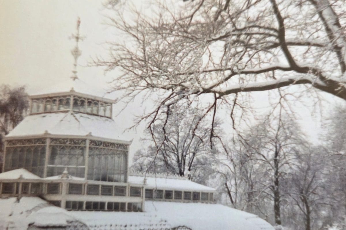 The Horniman Conservatory in the Winter, circa 1980s.