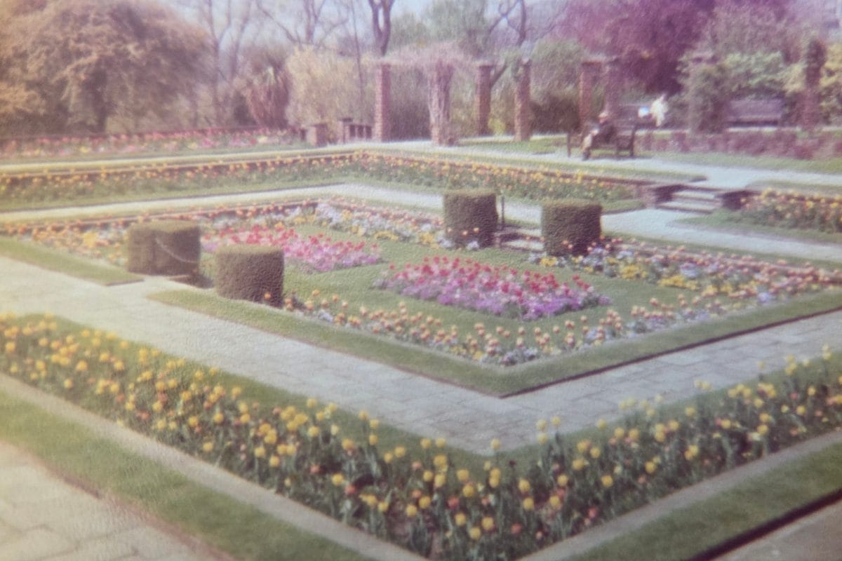 The Sunken Garden at the Horniman in the 1970s / 1980s.